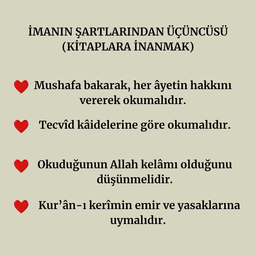Kitaplara İnanmak (12)